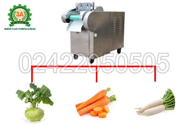 Máy thái rau củ quả 3A1,5Kw (có băng tải) có khả năng thái được nhiều loại nguyên liệu