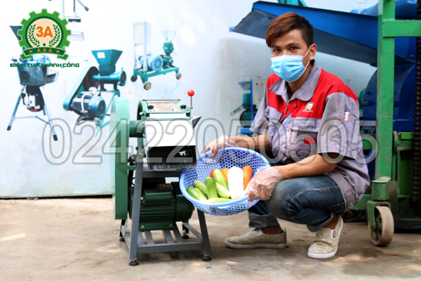 Kỹ thuật viên và Máy thái sợi rau củ quả 3A1,5Kw