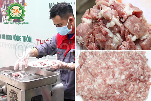 Máy thái thịt, xay thịt đa năng 3A2,2Kw (16)