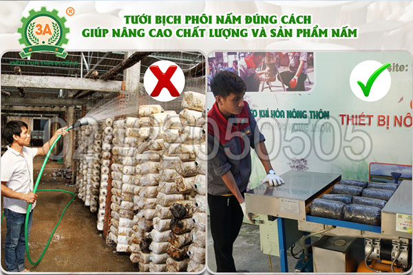 Máy tiêm bịch nấm 3A2,2kW (13)