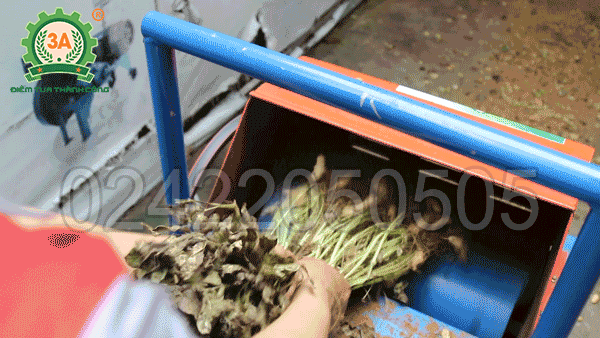 Vận hành máy tuốt lạc 3A2,2Kw rất dễ dàng