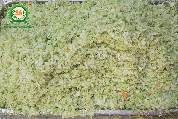 Thành phẩm Máy xát rau củ quả thải loại 3A3Kw