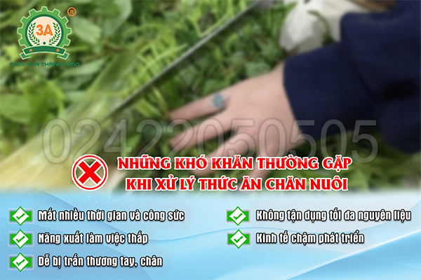Những khó khăn thường gặp phải trong chăn nuôi hiện nay của bà con nông dân