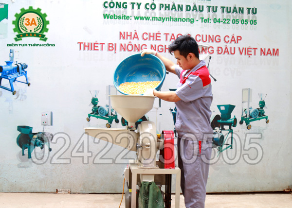 Kỹ thuật viên sử dụng Máy xay bột khô 3A2,2Kw