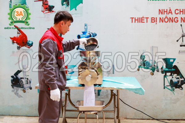 Kỹ thuật viên sử dụng Máy xay bột ngũ cốc 3A3Kw