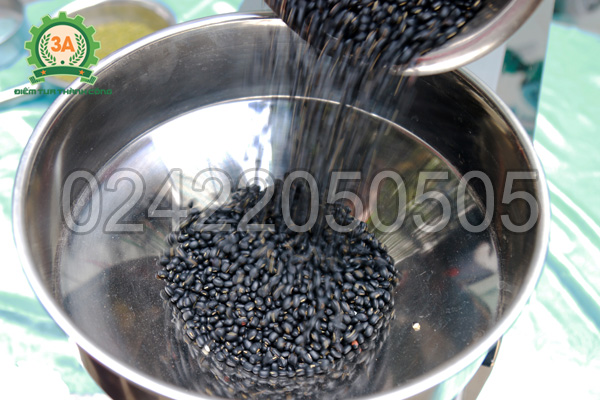 Xay đỗ đen bằng máy xay bột ngũ cốc 3A3Kw