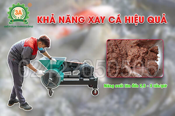 Máy xay cá công nghiệp 3A15kW (06)