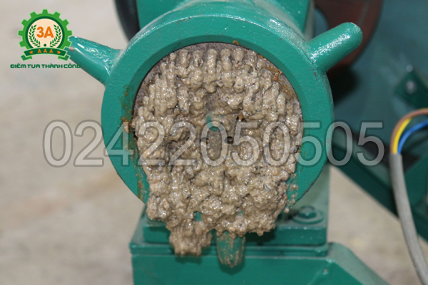 Ốc được xay nhuyễn bởi máy xay ốc 3A3Kw