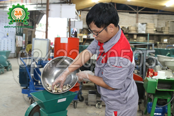 Xay ngao với máy xay cua ốc 3A3Kw