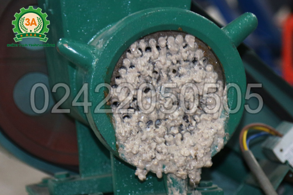 Ngao sau khi xay bằng Máy xay ốc 3A3Kw
