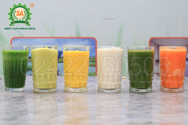 Máy xay sinh tố công nghiệp 3A2600W (12)