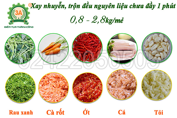 Máy xay tỏi ớt, rau củ 3A1,1Kw (09)