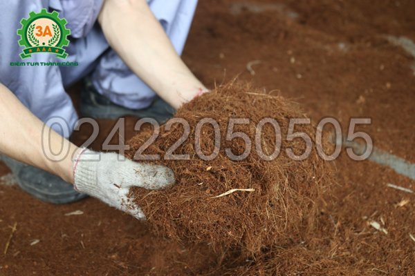 Xơ dừa xay bằng máy Máy xay xơ dừa, rơm rạ 3A15Kw