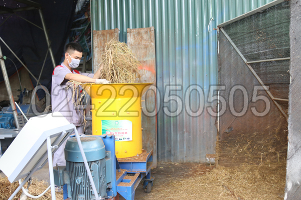 Băm rơm với Máy xay xơ dừa, rơm rạ 3A15Kw