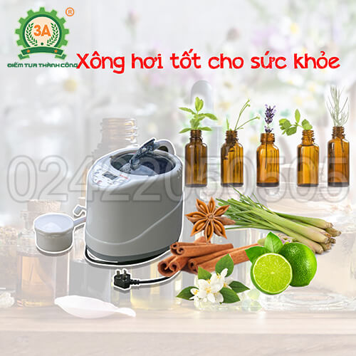 Máy xông hơi gia đình 3A1000W