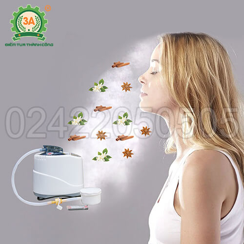 Máy xông hơi gia đình 3A1000W