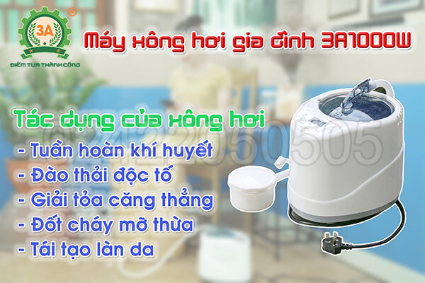 Máy xông hơi gia đình 3A1000W (07)