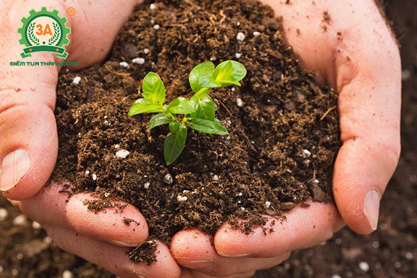 Men ủ phân cá - Chế phẩm Protease (02)