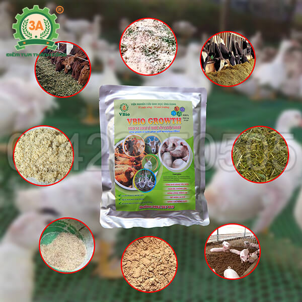 Men ủ thức ăn chăn nuôi 3A (02)