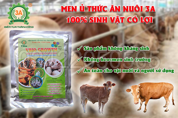 Men ủ thức ăn chăn nuôi 3A (06)