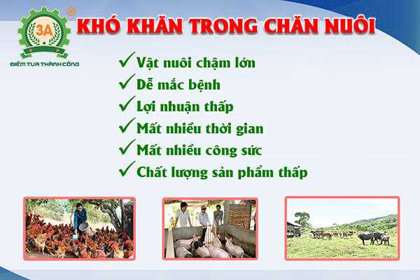 Men ủ thức ăn chăn nuôi 3A (07)