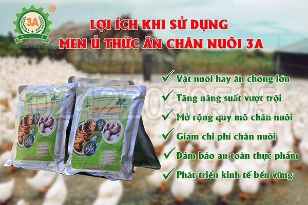Men ủ thức ăn chăn nuôi 3A (10)
