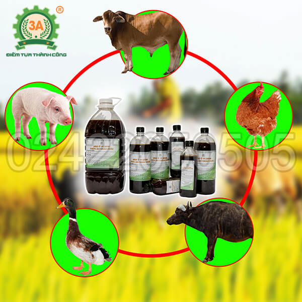 Men vi sinh ủ thức ăn chăn nuôi 3A (01)