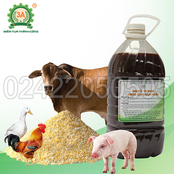 Men vi sinh ủ thức ăn chăn nuôi 3A