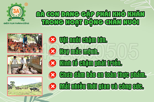 Men vi sinh ủ thức ăn chăn nuôi 3A (06)