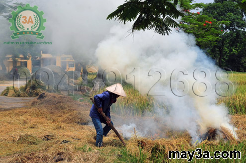 Một số kỹ thuật xử lý rơm rạ: Người dân đốt rơm rạ sau thu hoạch