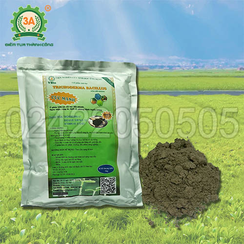 Nấm đối kháng Trichoderma (01)