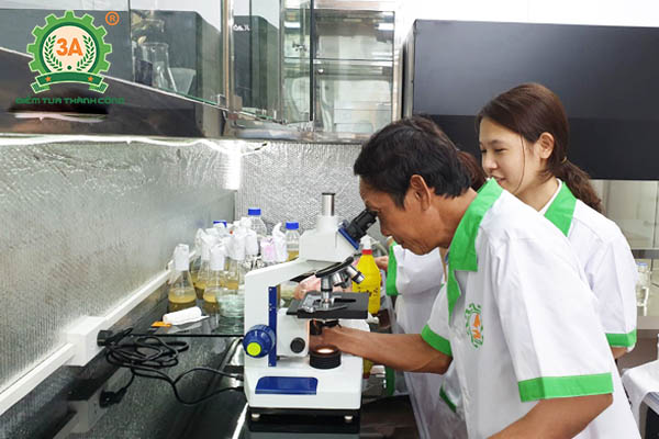 Nấm đối kháng Trichoderma (12)