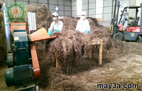 Chiếc máy nghiền lá sả khô 3A trong công trình nghiên cứu của nhà khoa học
