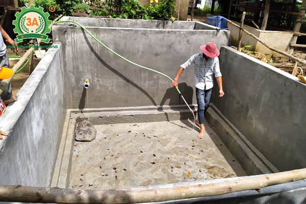 Nuôi cá trong bể xi măng theo công nghệ mới (04)