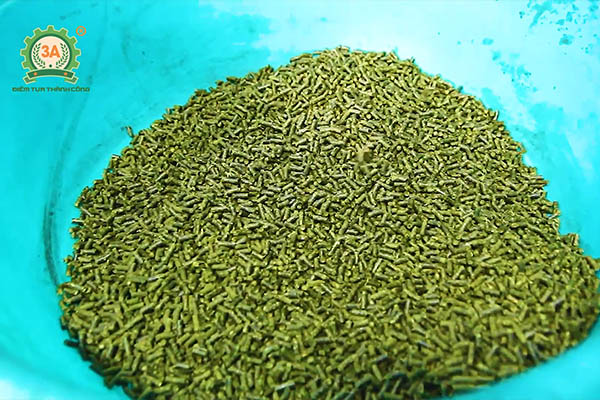 Nuôi gà bằng thảo dược (09)