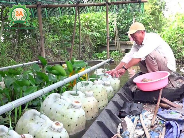 Nuôi lươn trong can nhựa đem lại hiệu quả cao