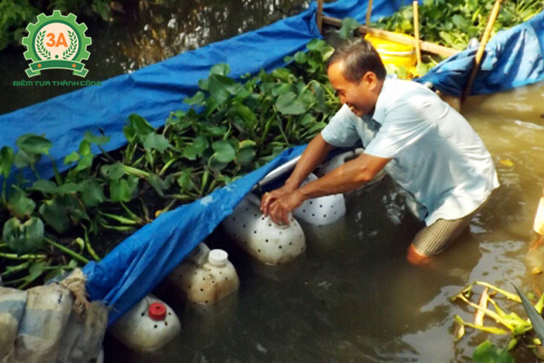 Nuôi lươn trong can nhựa tốn ít công chăm sóc