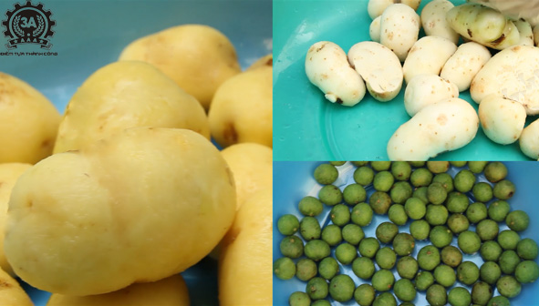 Khoai tây, khoai sọ, sấu được bóc sạch vỏ bằng Máy chà vỏ sấu, khoai tây 3A