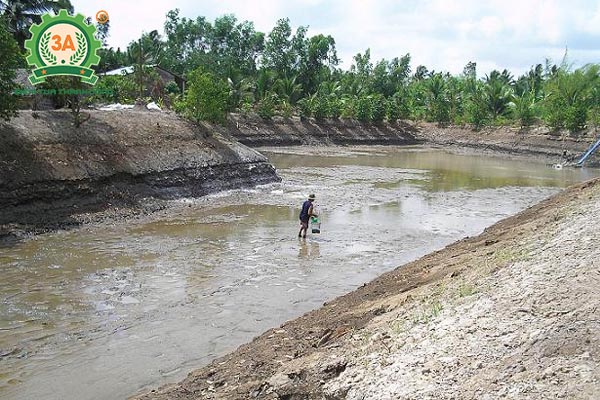 Thức ăn cho cá chép (05)