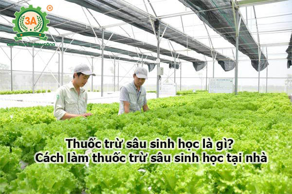 Thuốc trừ sâu sinh học (02)