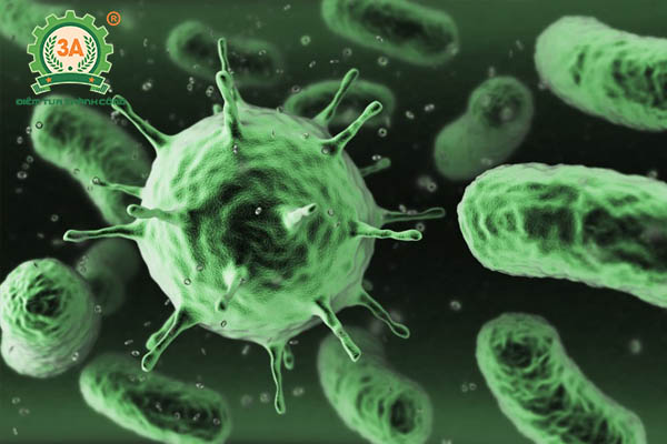 Thuốc trừ sâu sinh học (04)