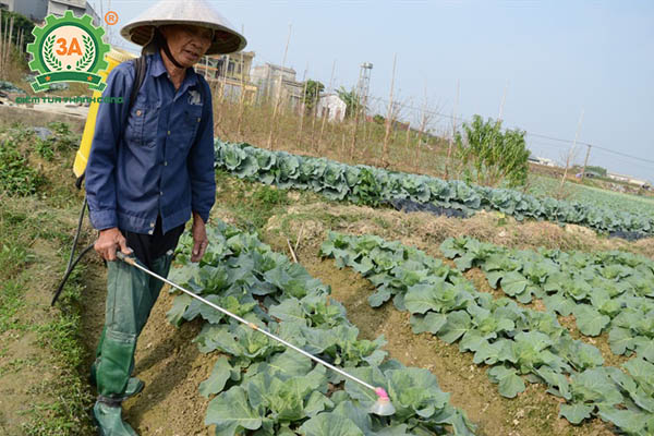 Thuốc trừ sâu sinh học (05)
