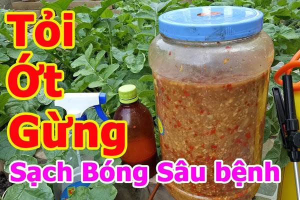 Thuốc trừ sâu sinh học (07)