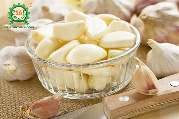 Thuốc trừ sâu sinh học (08)