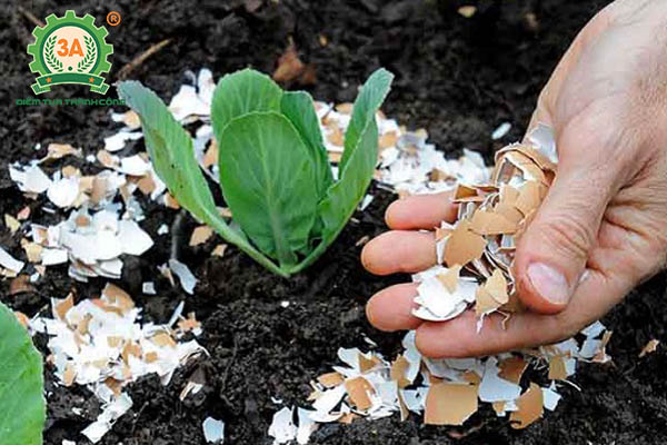 Thuốc trừ sâu sinh học (09)