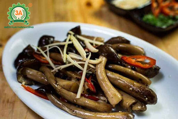 Trồng nấm mối đen (02)