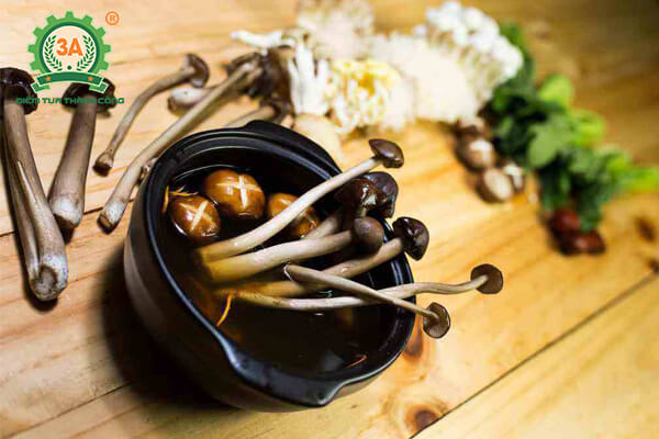 Trồng nấm mối đen (08)