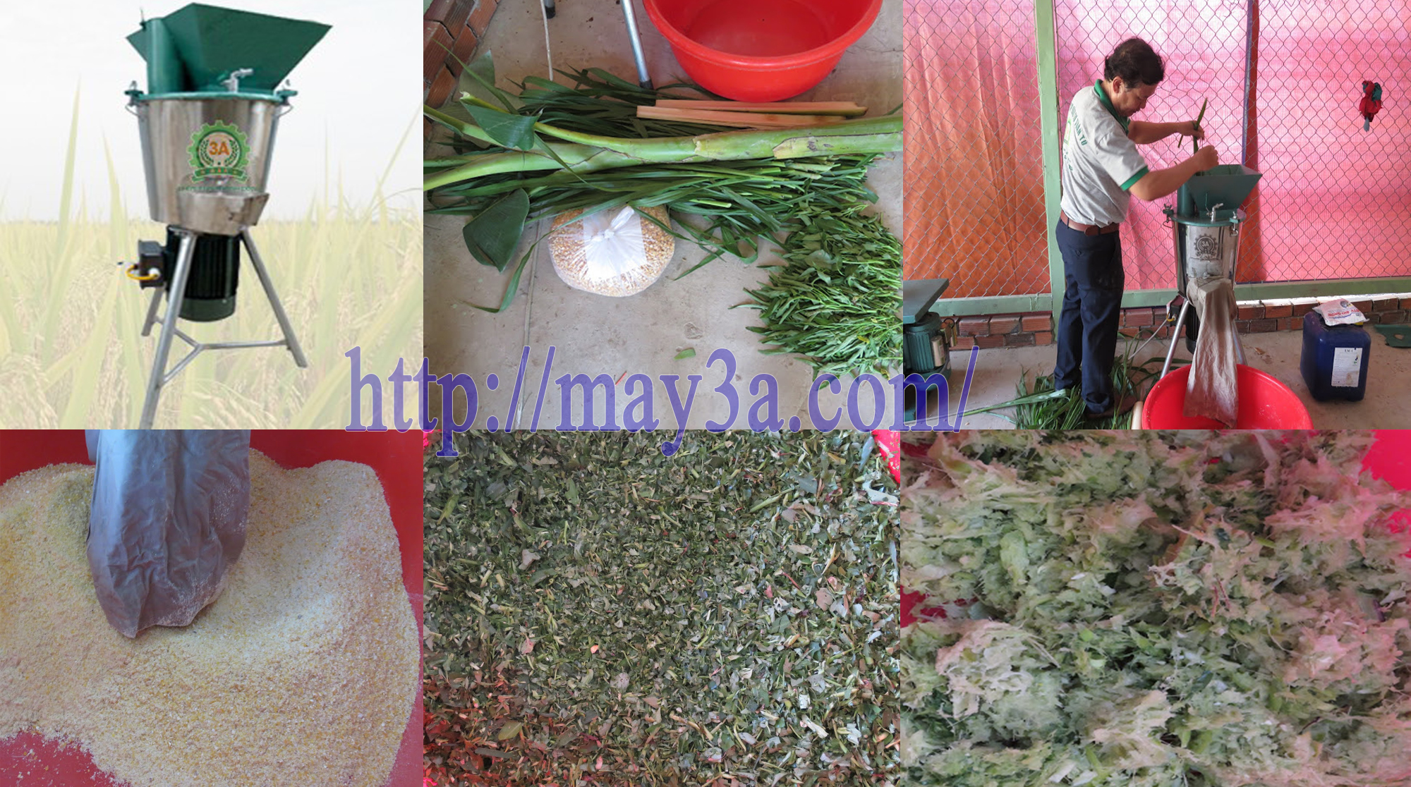 tự chế biến thức ăn chăn nuôi