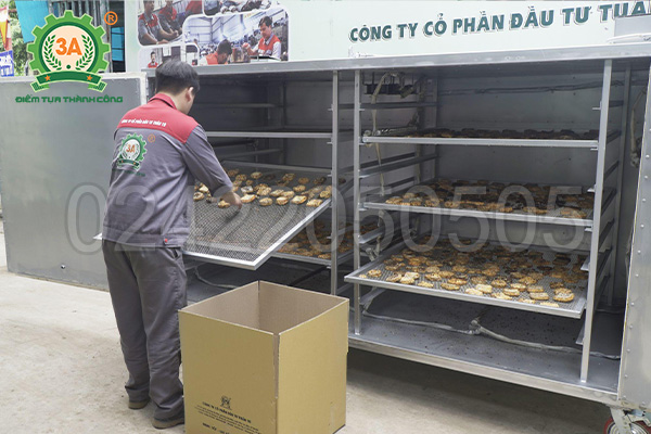 Tủ sấy đế đông trùng hạ thảo 3A 