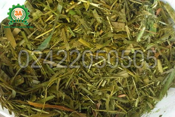 Túi ủ chua 3A giúp giảm tối đa nguy cơ nguyên liệu bị nấm mốc